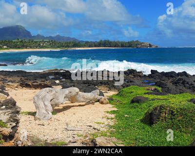 shipwreck beach. waves, and driftwood on a sunny day   in poipu, kauai, hawaii, with makawehi point in the background Stock Photo