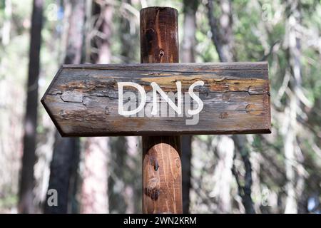 DNS. Domain Name System word writing on the arrow from the board against the background of the forest Stock Photo
