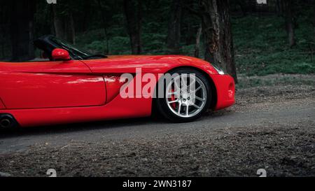 red Dodge Viper in a forest. Front part side view of american roadster sports car. Stock Photo