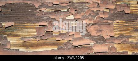 Panorama weathered peeling paint on a wooden wall Stock Photo