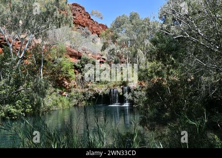 Fern Pool in Karijini National Park (WA)is fringed by lush vegetation Stock Photo