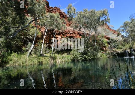 Fern Pool in Karijini National Park (WA)is fringed by lush vegetation Stock Photo