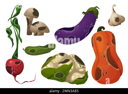 Rotten food with rot and mold. Cartoon vector illustration set of dirty spoiled vegetables. Damaged moldy meal contaminated with fungal spots for compost or recycle concept. Danger product. Stock Vector