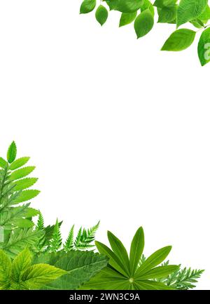 Summer concept. Nice border made from lot of various green leaves Stock Photo