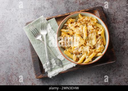 French Onion Style Creamy Pasta with caramelized onions, thyme, garlic and gruyere cheese close-up on a bowl on a wooden board. Horizontal top view fr Stock Photo