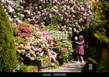 16/05/21   Hettie Lewin (10) and Nico Tye (six months)  Rhododendrons and azaleas at Lee Gardens, near Matlock, Derbyshire, are finally in full bloom. Stock Photo