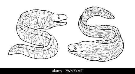 Funny moray eel to color in. Template for a coloring book with fish. Coloring template for kids. Stock Photo