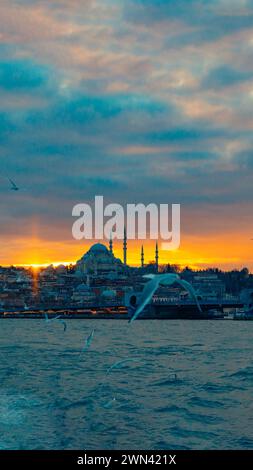Seagull and Suleymaniye Mosque view at sunset. Istanbul vertical photo. Ramadan or islamic concept. Stock Photo