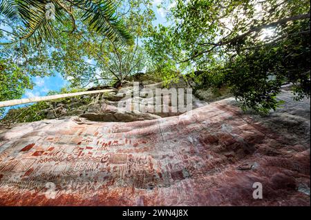 Ancient rock paintings in a dense jungle at Cerro Azul in Guaviare, Colombia Stock Photo