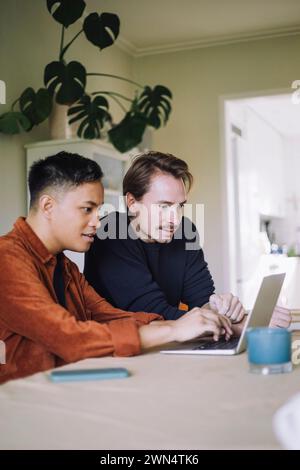Multiracial gay freelancers working on laptop while sitting at home Stock Photo