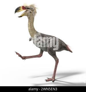 Phorusrhacos is an extinct genus of giant flightless terror birds that ...
