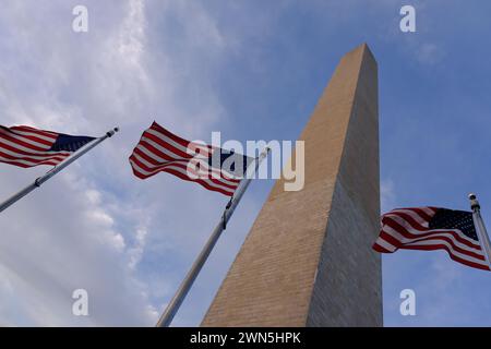 The Washington Monument surrounded by US flags in National Mall.Washington DC. USA Stock Photo