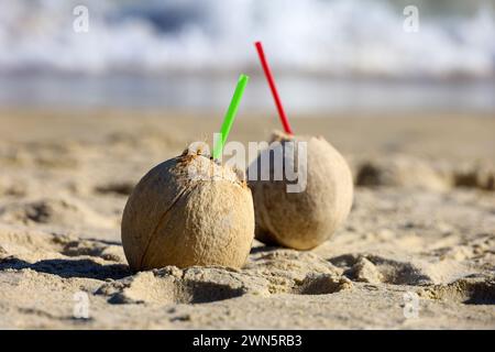 Coconut cocktails with straws on a sand of sea beach Stock Photo