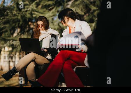 Two young businesswomen engage in a strategic meeting outdoors, discussing market trends and business plans with laptop and documents. Stock Photo
