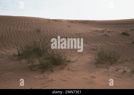 Tengri Desert in the Inner Mongolia Autonomous Region in China. Sunset picture with copy space for text Stock Photo