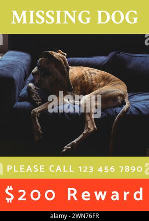 Composition of poster with missing cat text over dog lying on sofa on green background Stock Photo