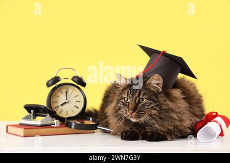 Cute cat with graduation hat, diploma, clock and stationery on table against yellow background. End of school year Stock Photo