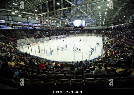 Feb 25 2024, Mississauga Ontario Canada. (Editorial Only)Final couple games Paramount Fine Foods Centere for the Mississaua Steelheads as they will play in Brampton next season. Luke Durda/Alamy Stock Photo