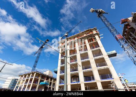 New flats being built along Ocean Drive Leith Stock Photo