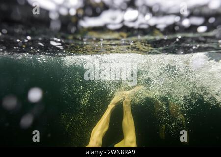 A young man's legs and bubbles underwater after diving in lake. Stock Photo