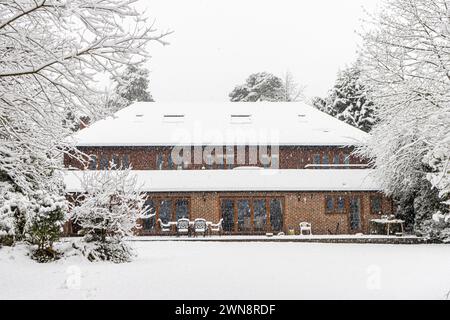 A suburban back garden and leafless trees covered in snow during a heavy snowfall in winter, Woking, Surrey, south-east England, UK Stock Photo