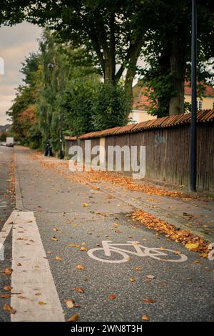 Bicycle Path in Autumn, Copenhagen, Denmark Stock Photo