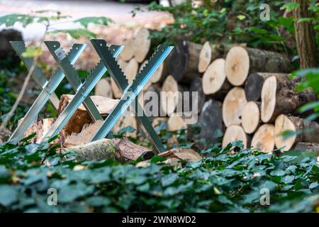 Brennholz mit Holzbock im Garten zuschneiden Stock Photo