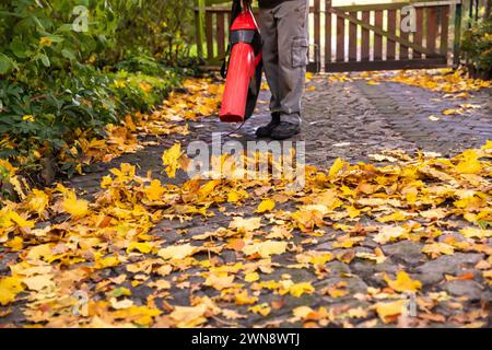 Zu Hause im Herbst mit Laubbläser das Grundstück sauber halten Stock Photo