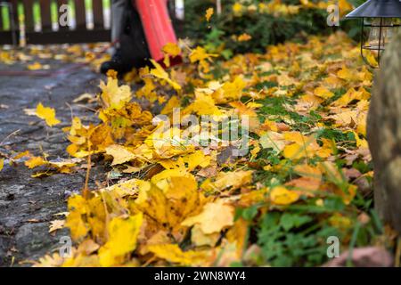 Zu Hause im Herbst mit Laubbläser das Grundstück sauber halten Stock Photo