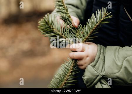 Child Holding a Green Fir Branch During a Walk in the Forest Stock Photo