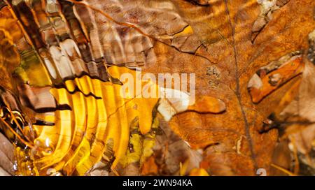 River Water Blurred Leaves Abstract Background Stock Photo