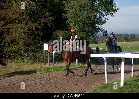 horses and jockeys epsom racecourse epsom downs surrey england Stock Photo