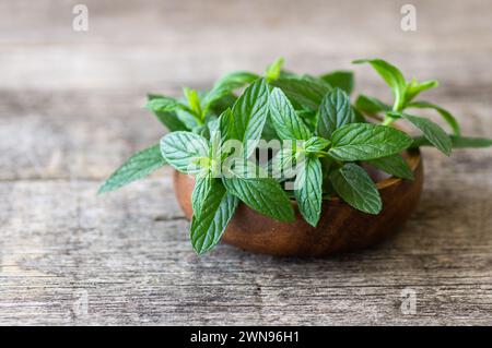 Fresh ripe green mint leaves in bowl on rustic background, green vegetable and spice Stock Photo