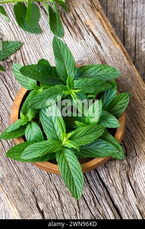 Fresh ripe green mint leaves in bowl on rustic background, green vegetable and spice Stock Photo