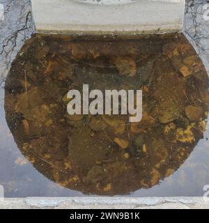 Envisioning Tomorrow. Fountain Reflections and Fallen Leaves in the  water . Predict the future . Abstract concept  Crystal Ball. Stock Photo