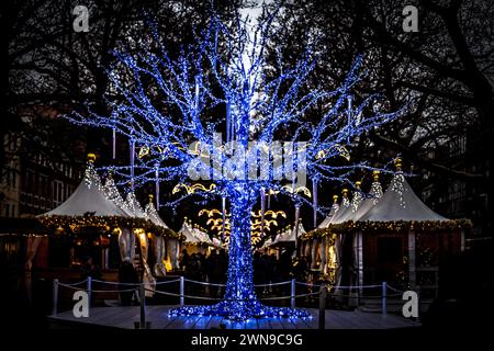 An artificial tree glows in dark blue LED lights at night, Dresden Christmas market Stock Photo