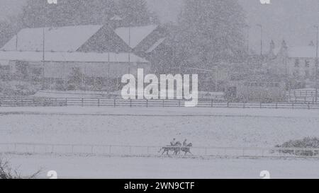 Horses on the gallops at the Curragh racecourse, Co. Kildare. Falling sleet and snow in parts of Ireland have led to some travel disruption. The Irish weather agency Met Eireann issued weather warnings for more than a dozen counties on Friday morning. Picture date: Friday March 1, 2024. Stock Photo