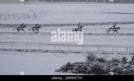 Horses on the gallops at the Curragh racecourse, Co. Kildare. Falling sleet and snow in parts of Ireland have led to some travel disruption. The Irish weather agency Met Eireann issued weather warnings for more than a dozen counties on Friday morning. Picture date: Friday March 1, 2024. Stock Photo