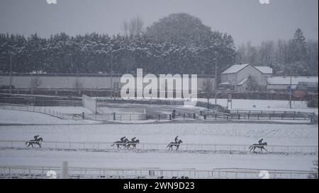 Horses on the gallops at the Curragh racecourse, Co. Kildare. Falling sleet and snow in parts of Ireland have led to some travel disruption. The Irish weather agency Met Eireann issued weather warnings for more than a dozen counties on Friday morning. Picture date: Friday March 1, 2024. Stock Photo