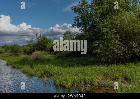 Rural landscape of river valley under blue sky with layer of cumulus clouds in background in South Korea Stock Photo