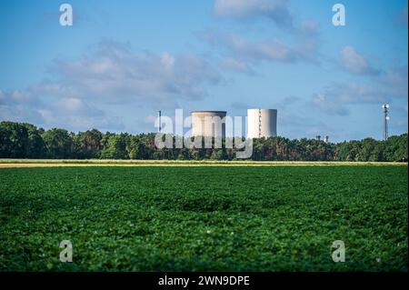 Two large cooling towers of a power station rise up behind a green field and trees under a blue sky, Emsland gas-fired power station, Lingen Stock Photo
