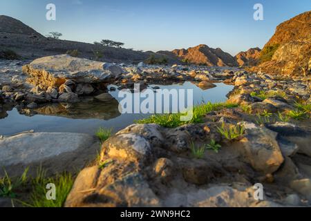 Beautiful small oasis in desert with background of huge mountains Stock Photo