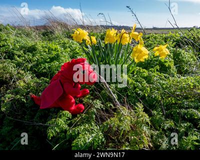 Sheerness, Kent, UK. 1st Mar, 2024. UK Weather: a sunny afternoon on St. David's Day in Sheerness, Kent on the first day of March. Credit: James Bell/Alamy Live News Stock Photo