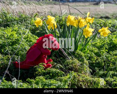 Sheerness, Kent, UK. 1st Mar, 2024. UK Weather: a sunny afternoon on St. David's Day in Sheerness, Kent on the first day of March. Credit: James Bell/Alamy Live News Stock Photo
