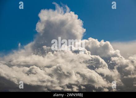 Cumulonimbus clouds formed on a bright spring day against bright blue sky, England. Stock Photo