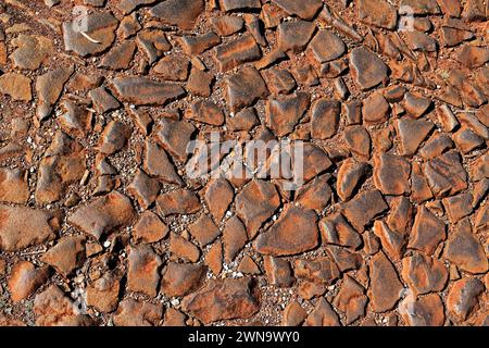 Stone floor on public park, Ribeirao Preto, Sao Paulo, Brazil Stock Photo