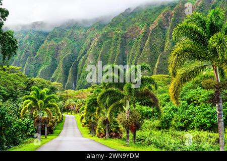 Ho'omaluhia Botanical Park views of Ko'olau mountains on Oahu - Hawaii, United States Stock Photo