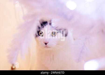 Cat among blurred white branches portrait close up Stock Photo