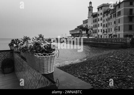 Embracing the beauty of Genoa in the rain through my lens. Every droplet tells a story, every puddle reflects a moment in time. Stock Photo