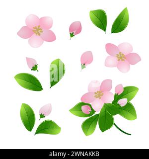 set with green leaves, pink / cherry / apple flowers and branches. Spring or summer flowers for invitation, wedding or greeting cards.Floral decor.Iso Stock Photo